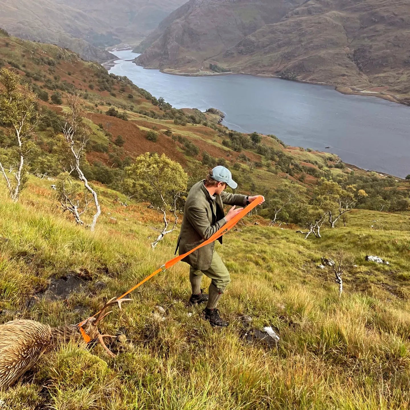 Orange, tough, and lightweight deer drag strap for easy carcess retrieval