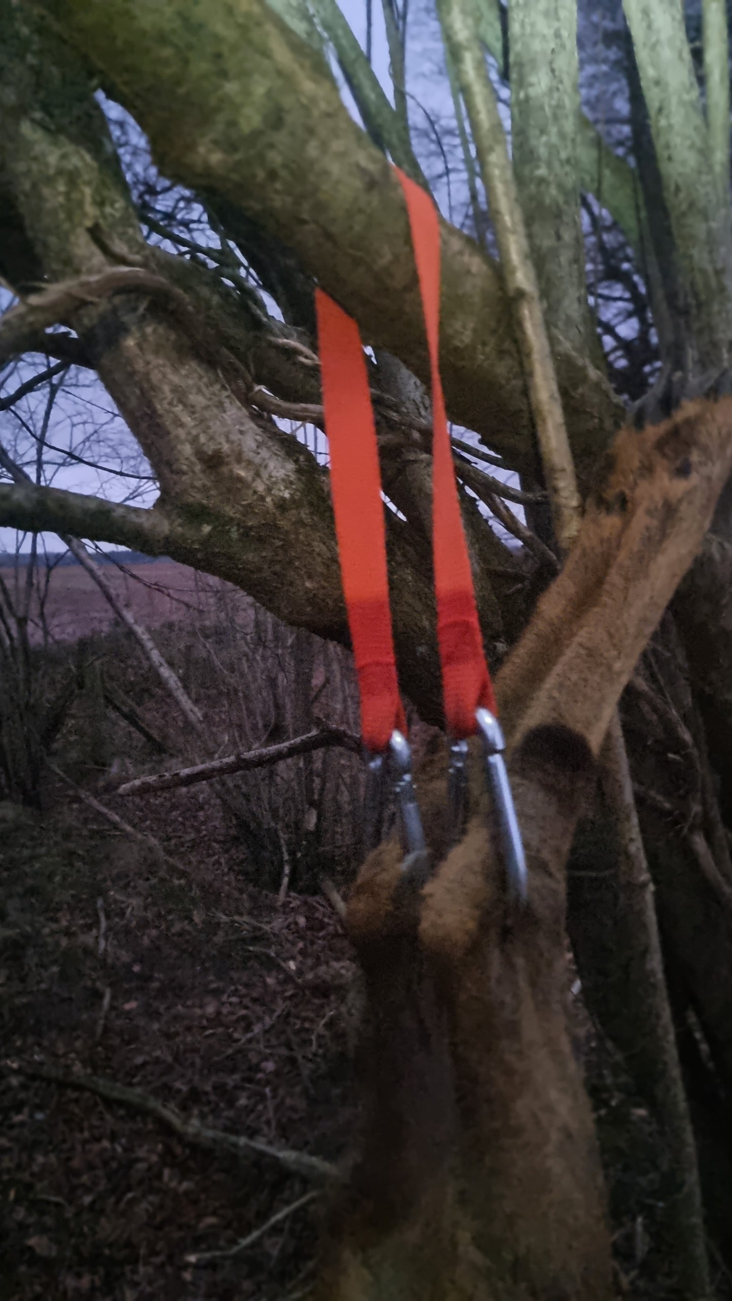 Orange material gambrel for hanging a carcess, providing strong support without bulk