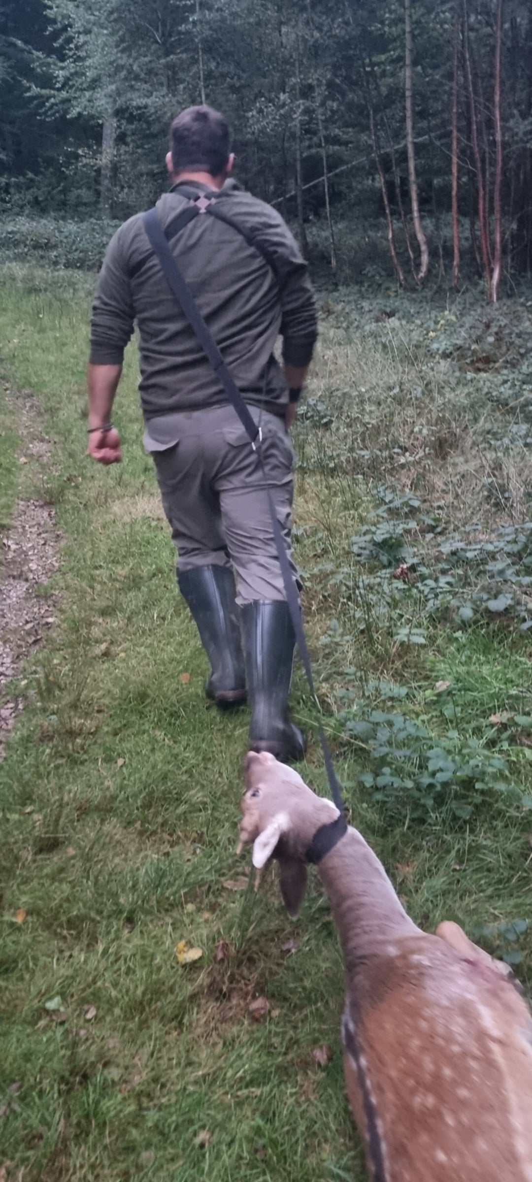 Black, tough, and lightweight deer drag strap for easy carcess retrieval