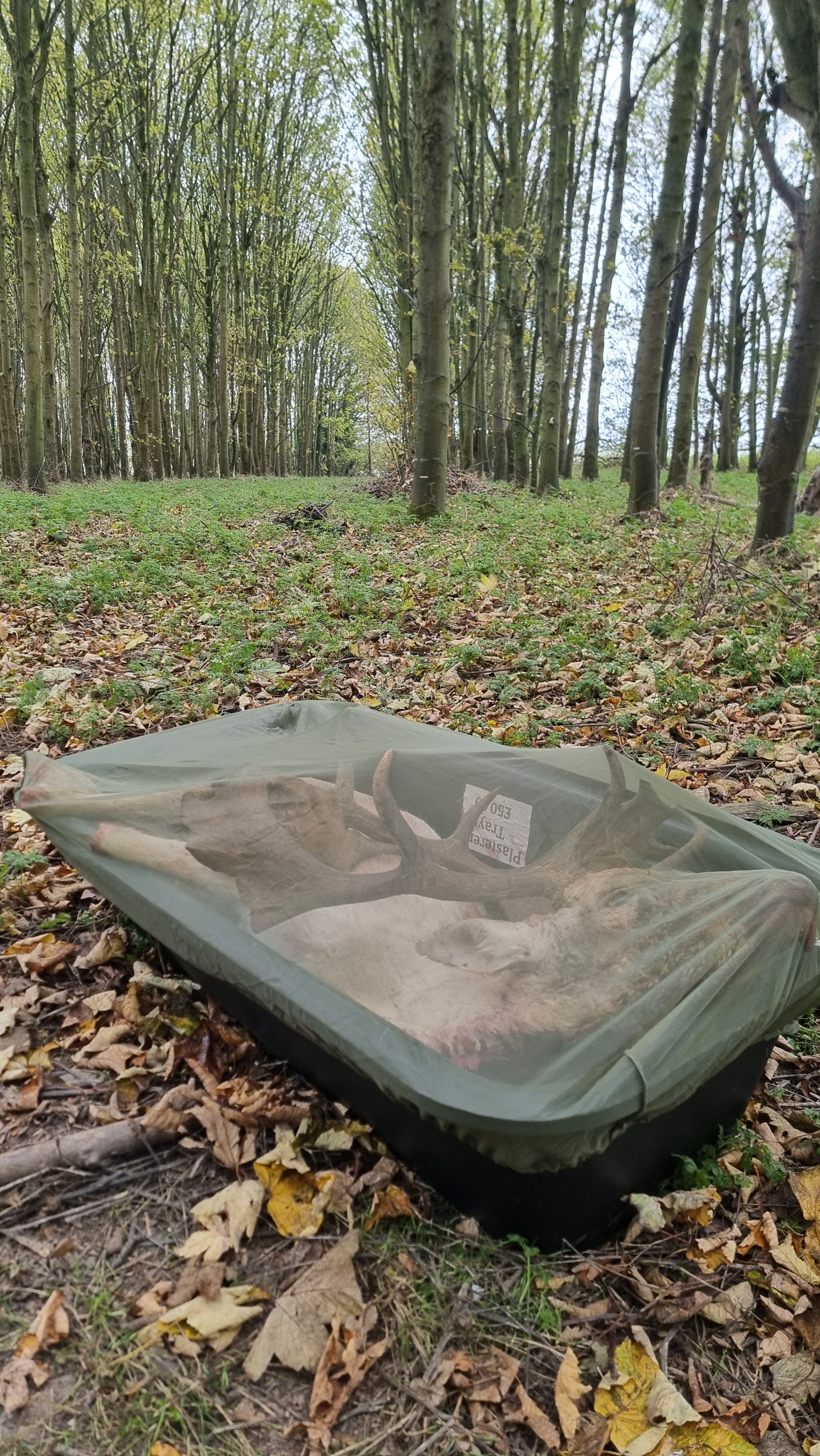 Fly Mesh Carcass Cover, a strong, breathable mesh cover designed to fit standard plasterers trays (4ft x 2ft) to protect a deer carcass from flies and dirt while allowing airflow