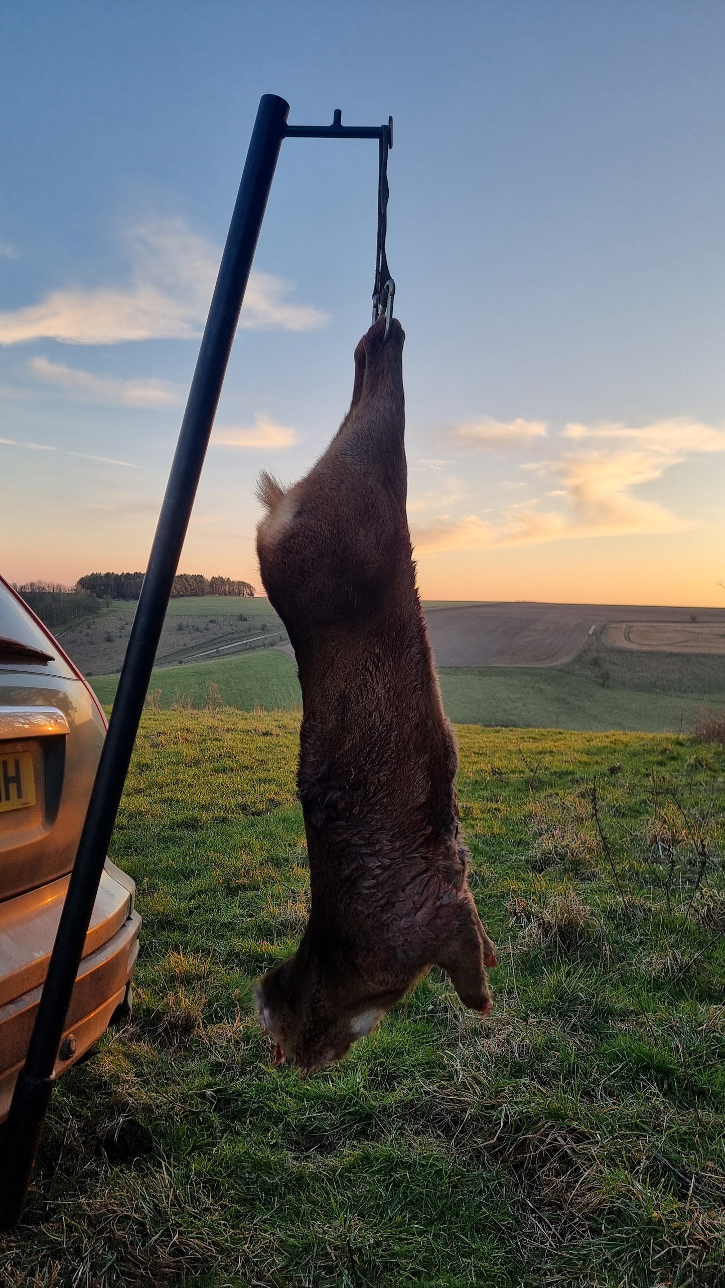 Tow hitch attachment designed for gralloching, keeping the process quick and clean