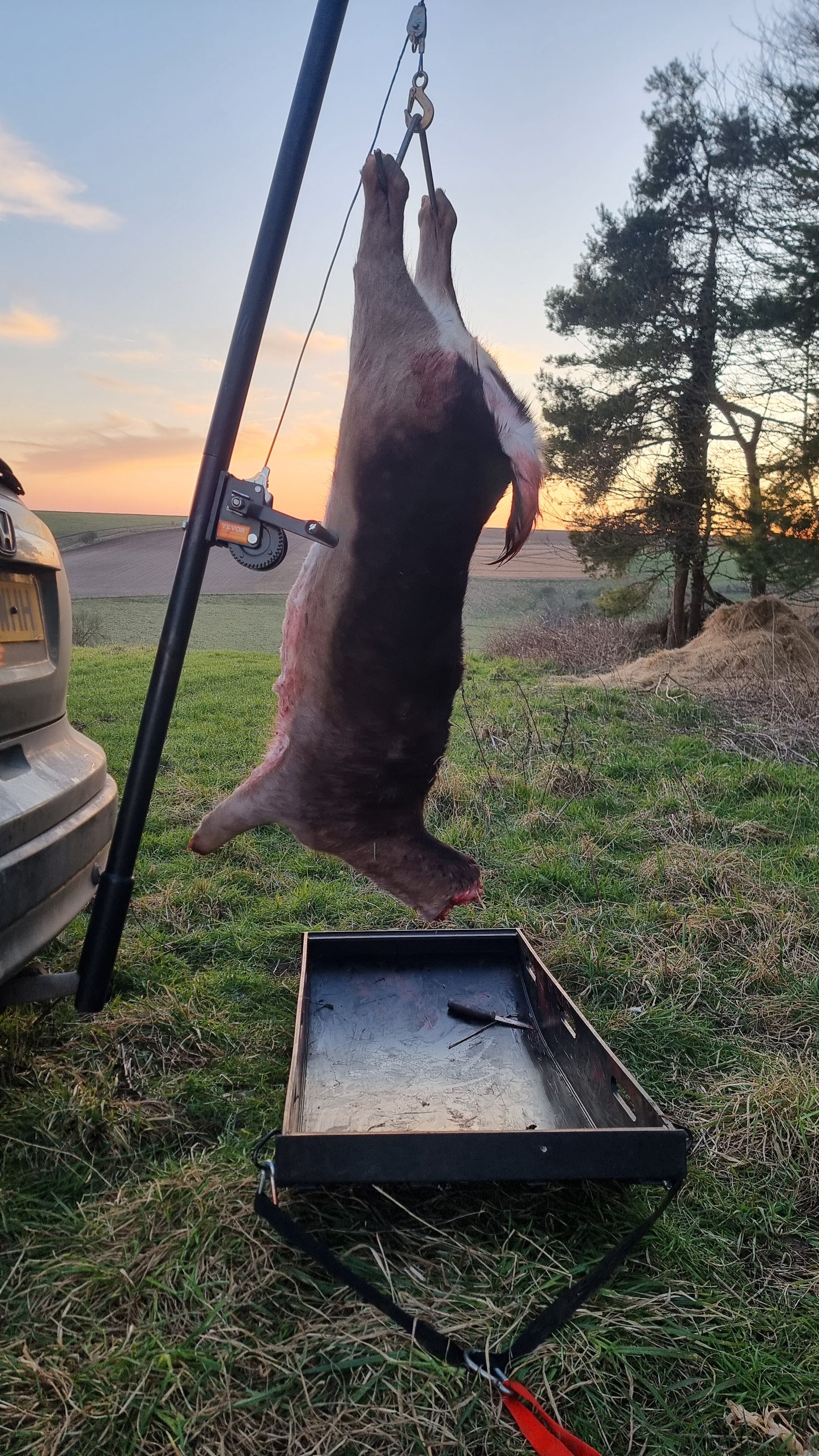 Tow hitch attachment for gralloching that includes an integrated winch