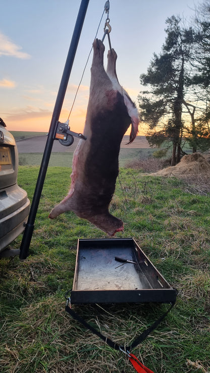 Tow hitch attachment for gralloching that includes an integrated winch