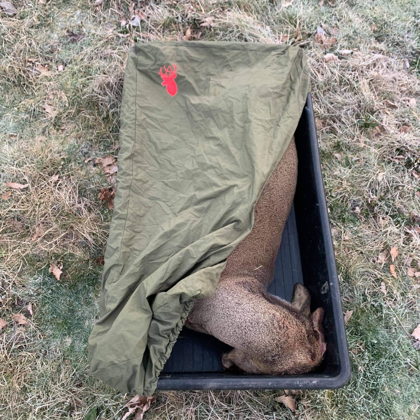 Protective tray cover specifically sized for a Roe deer carcess